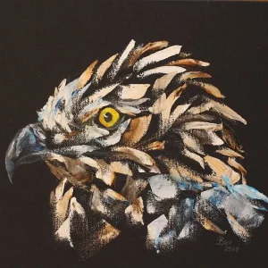 Brown Snake Eagle