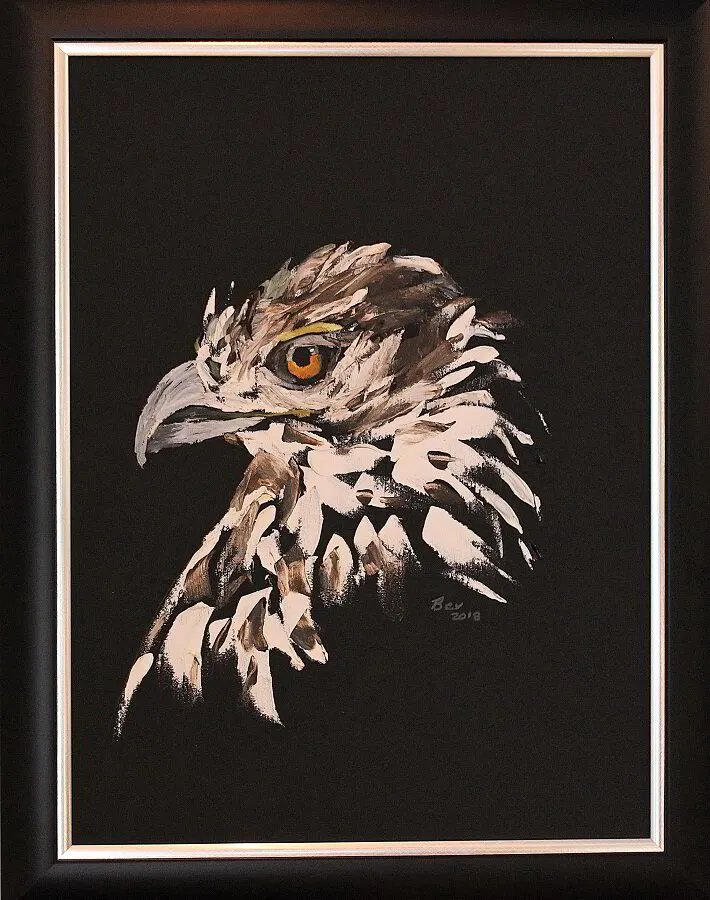 005_African_Hawk_Eagle-2844064
