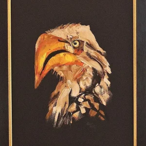 Southern Yellow-Billed Hornbill