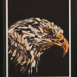 American Bald Eagle