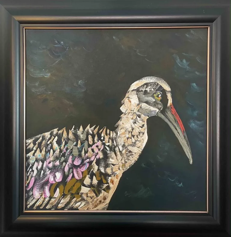 013_Hadeda_Ibis_low-5610693