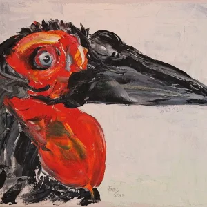 Southern Ground-Hornbill