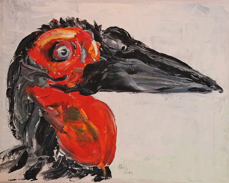 014_Southern_Ground_Hornbill-2840914