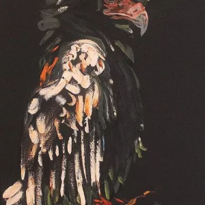 Bateleur II
