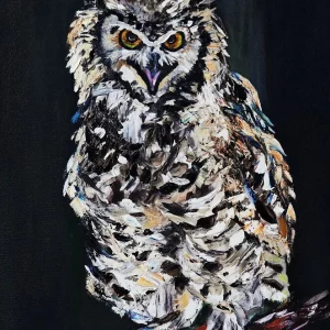 Cape Eagle Owl I