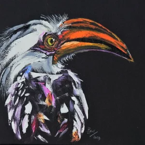 Southern Yellow-billed Hornbill III