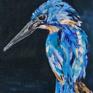 Half-collared Kingfisher