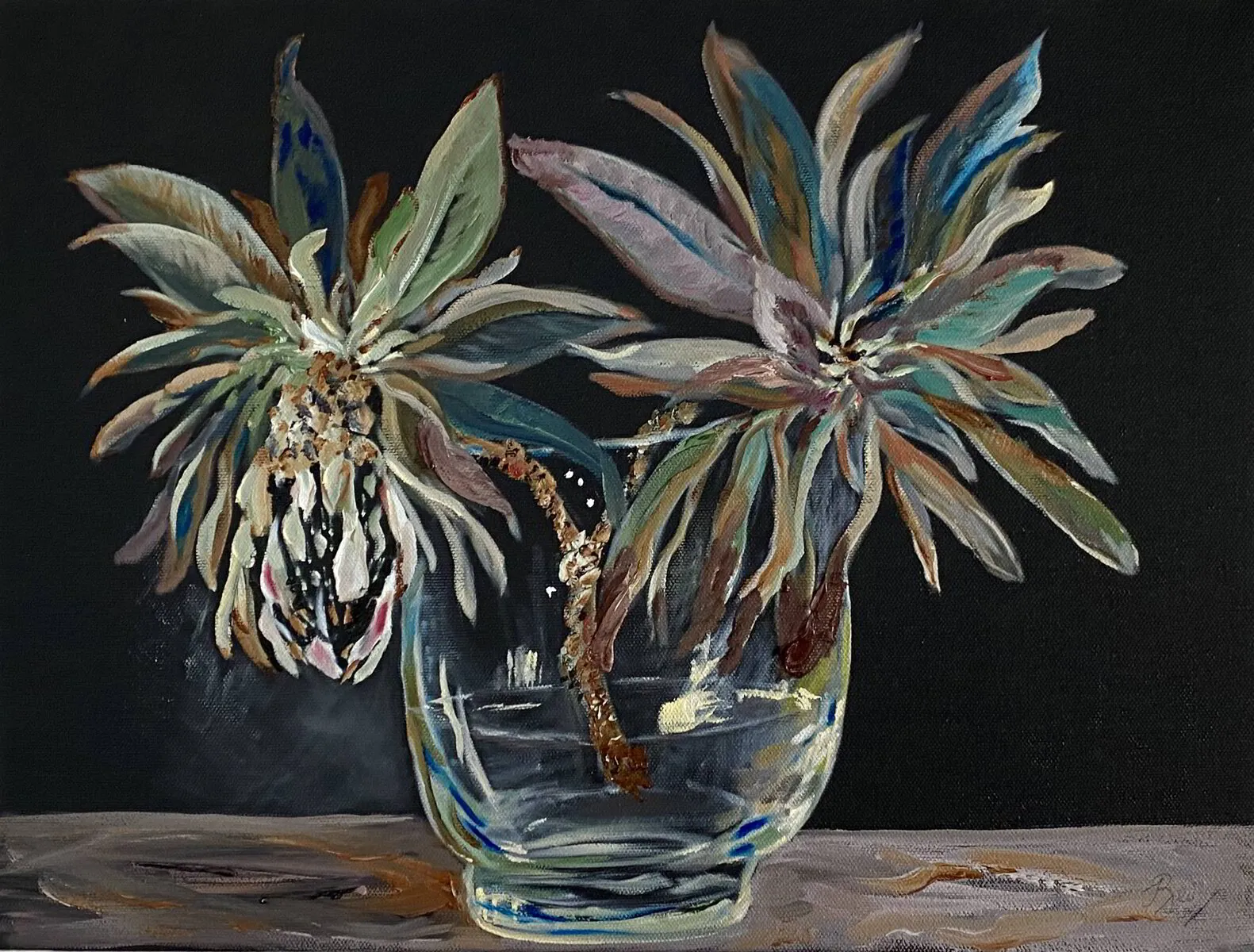Protea roupelliae I
