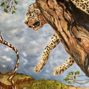 Leopard in a Tree