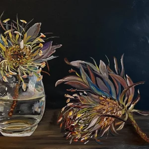 Protea roupelliae II