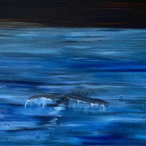 Whale Ahoy