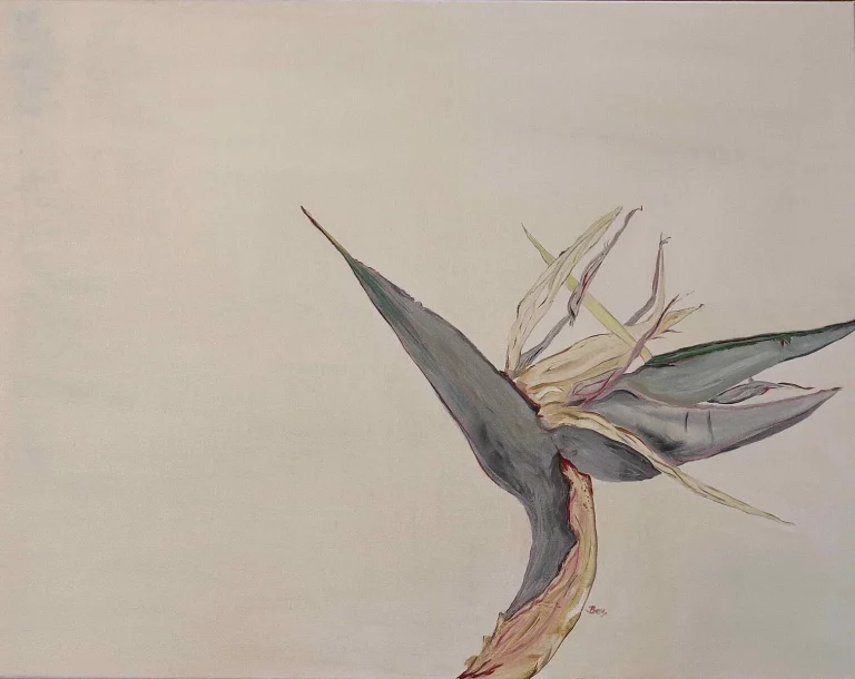 P002_Strelitzia_Nicolai-7958642