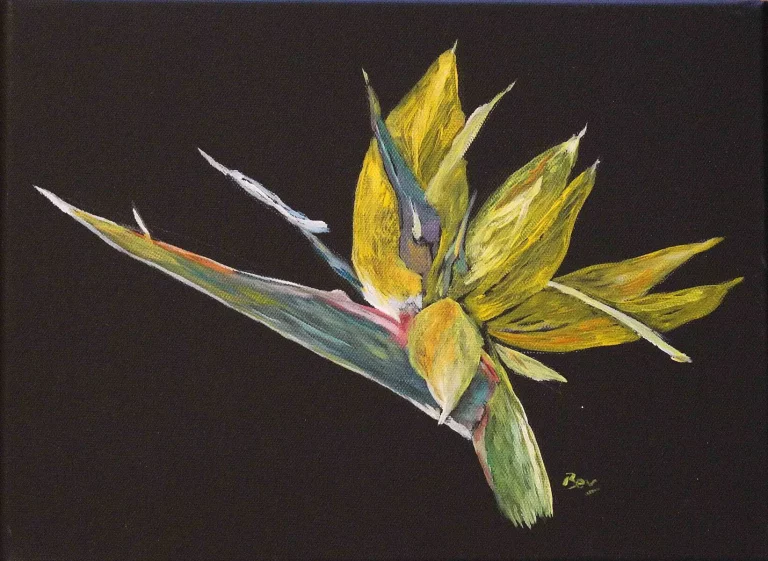 P004_Strelitzia_reginae_1_low-7958649