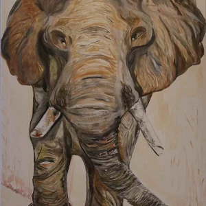 African Elephant