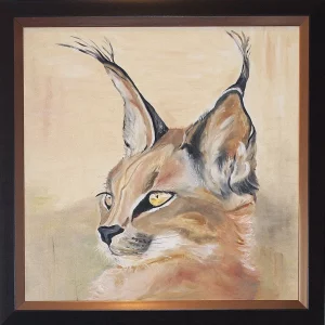 Caracal caracal