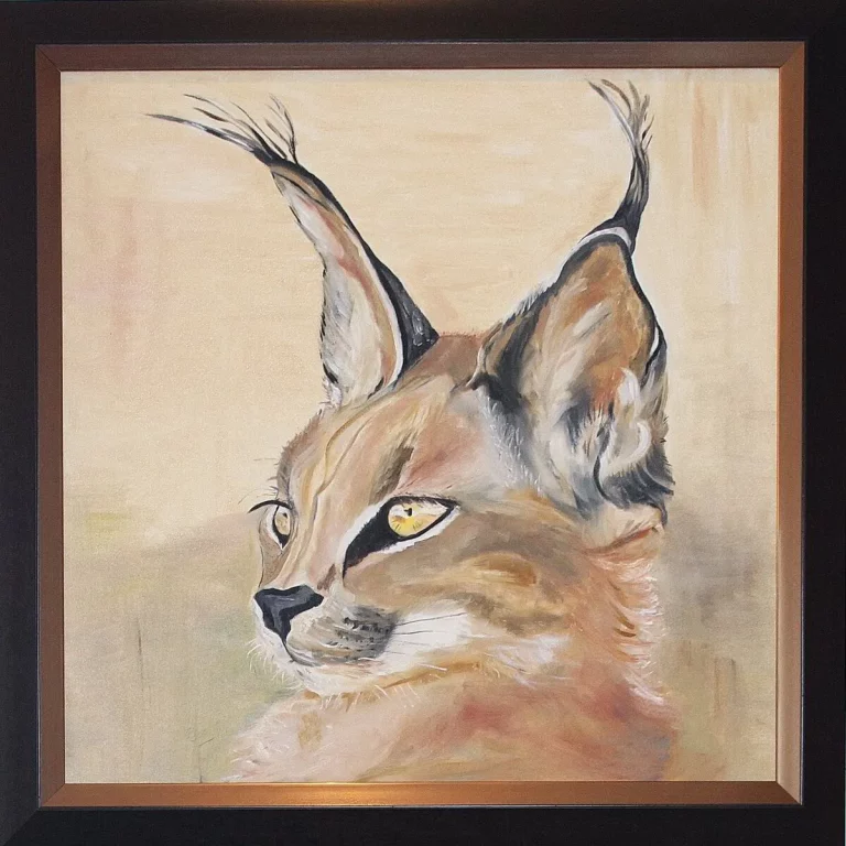 P008_Caracal_Caracal_low-7958661