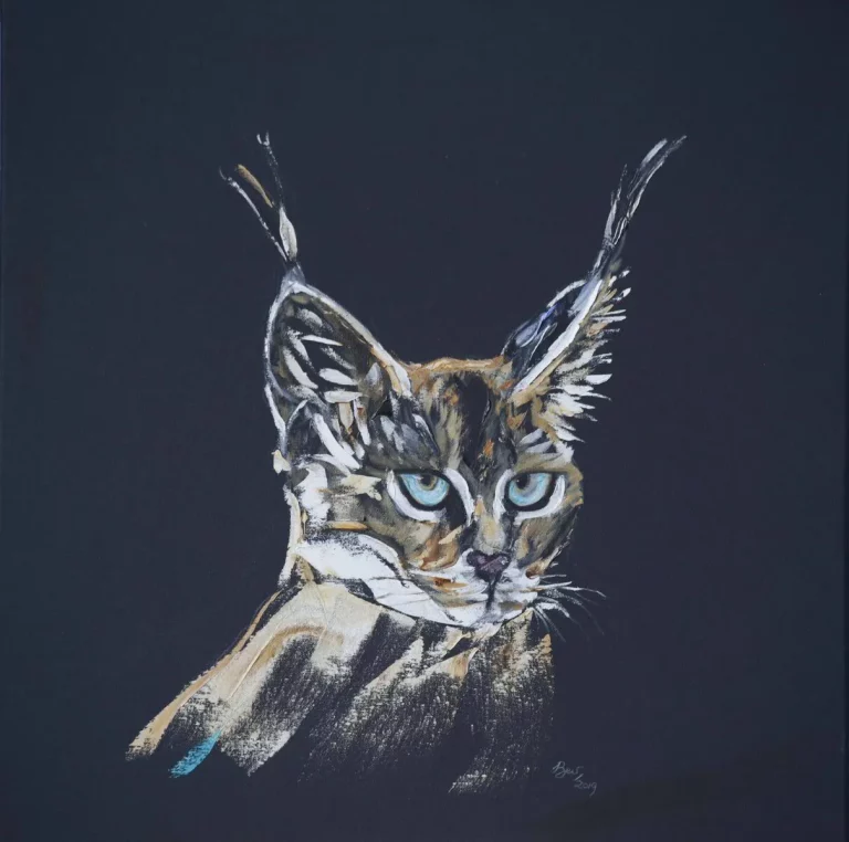 P010_Caracal_II_Juvenile_low-7958668