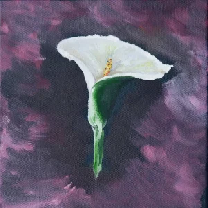 Still life with 1 arum
