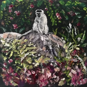 Miniature Vervet Monkey II