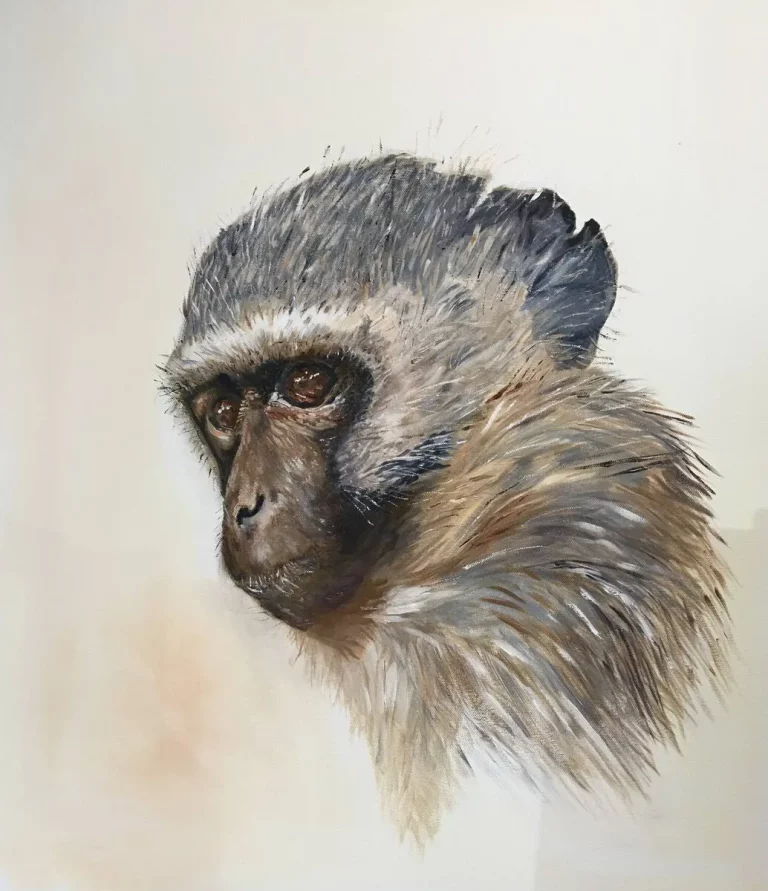 P022_Vervet_Monkey_III-7958731