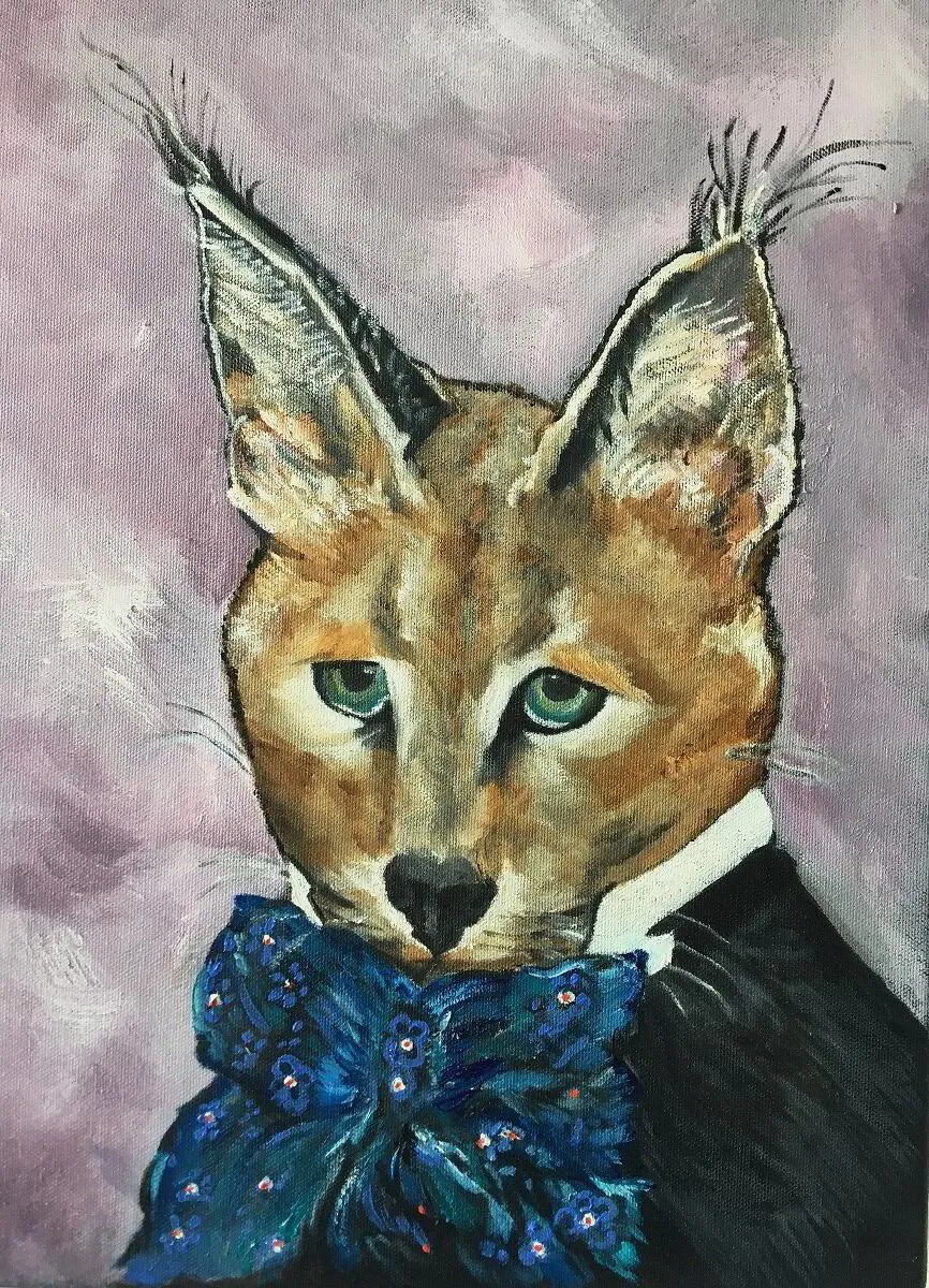 Caracal IV The Bachelor