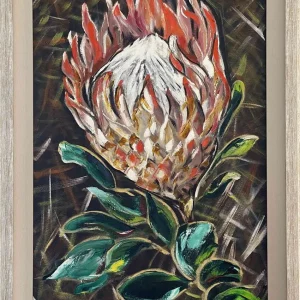 Orange Protea