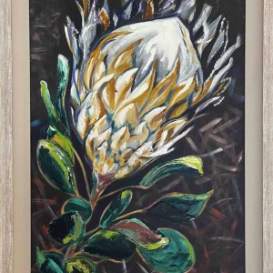 Blue Protea