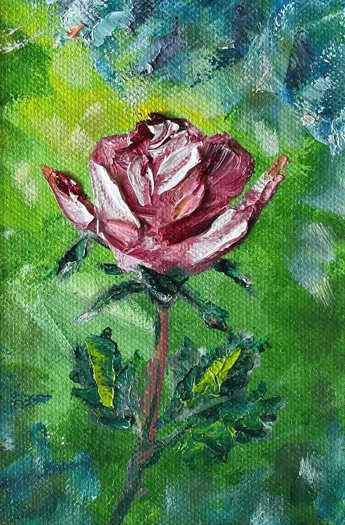 P069_Corona_41_Pams_rose-2416129