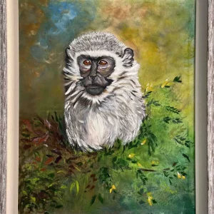 Vervet called Freedom