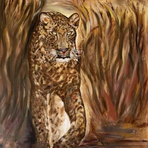 Load Shedding Leopard