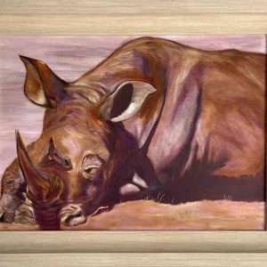Sleeping Rhino
