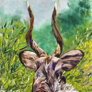 Kudu I