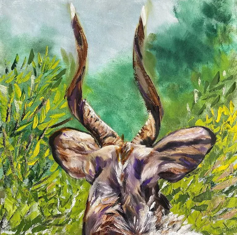 P091_Corona_63_Kudu_1-2416156
