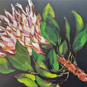 Pink Protea
