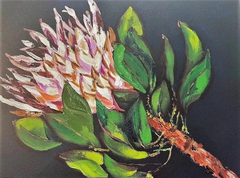 P100_Corona_72_Pink_Protea-2494544 (1)