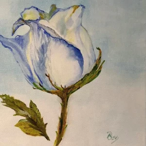 Blue Rosebud