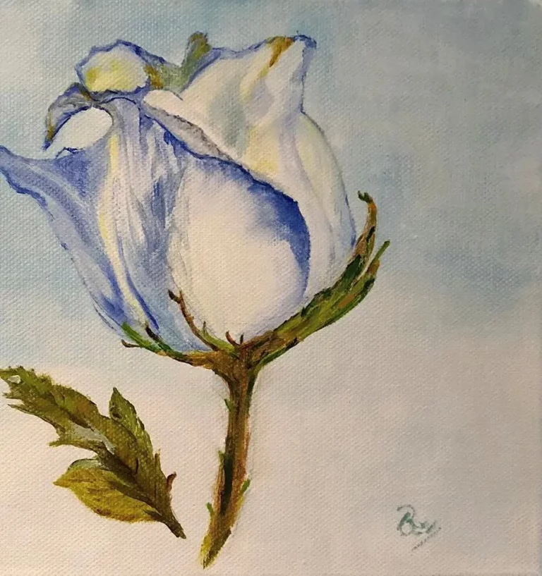 P103_Corona_75_Blue_Rosebud-2416180