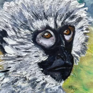 Vervet Monkey III