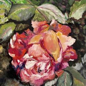 Sanderson Rose