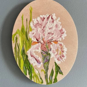 Study of Iris Pink