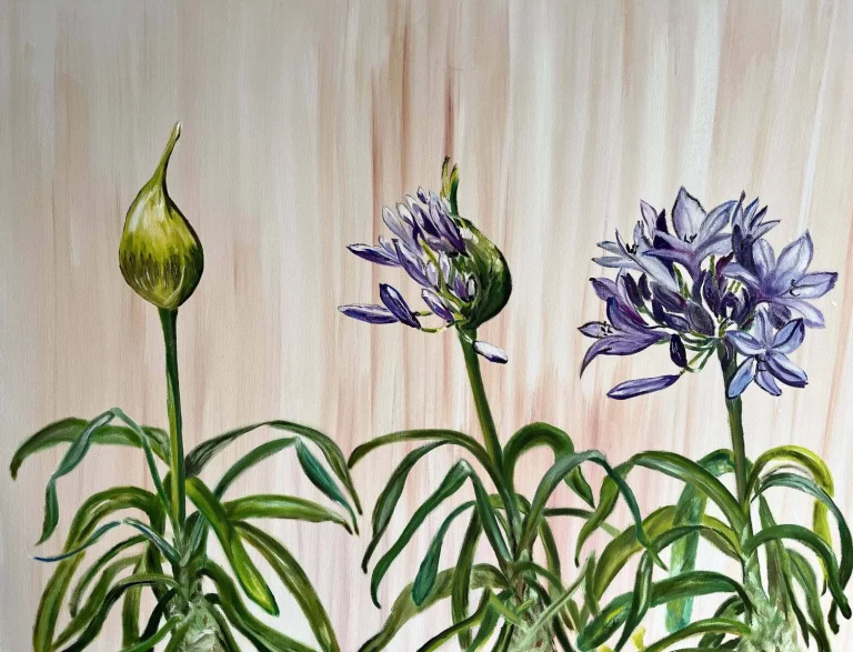 S_132_Birth_of_Agapanthus-4761129
