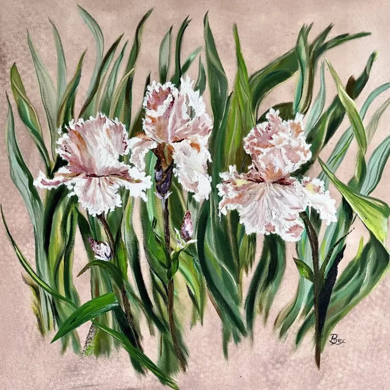 S_133_Three_Frilly_Irises-4761137