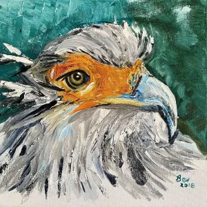 Secretary Bird II