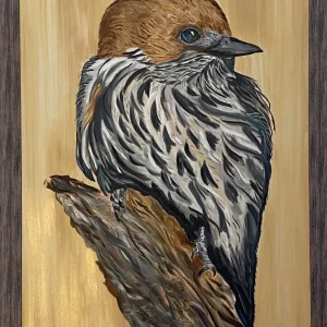 Lesser Striped Swallow