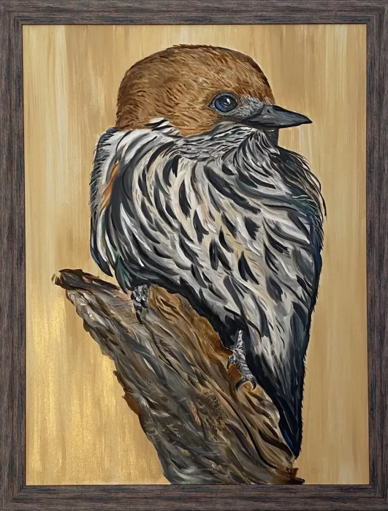 Swallow-2305234